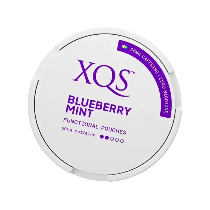 XQS - Blueberry Mint Koffínpúðar