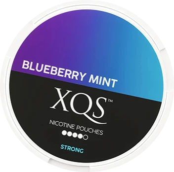 XQS BLUEBERRY MINT SLIM STRONG NICOTINE POUCHES